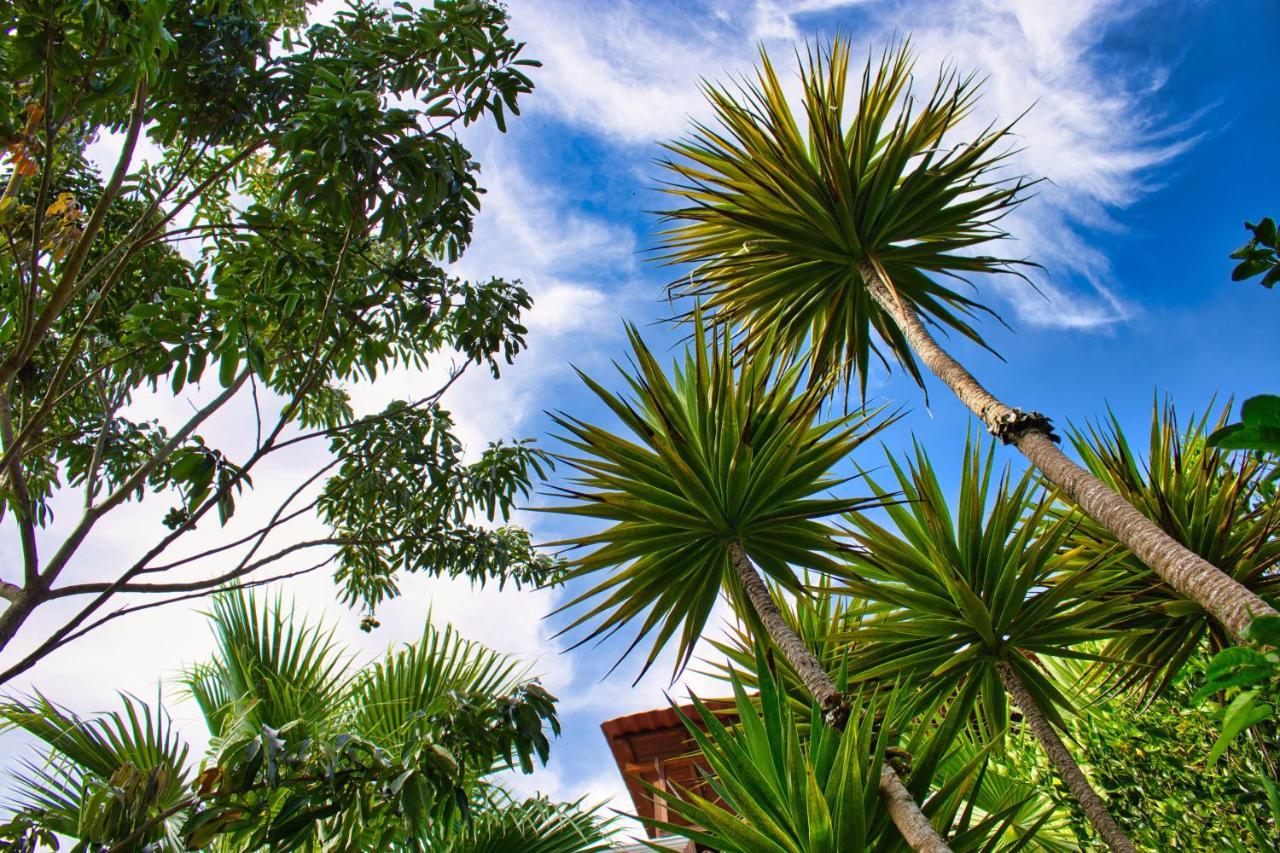 Casa Lobo Villa San Pedro La Laguna Eksteriør billede